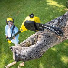 Best Arborist Consultation Services  in Gurnee, IL