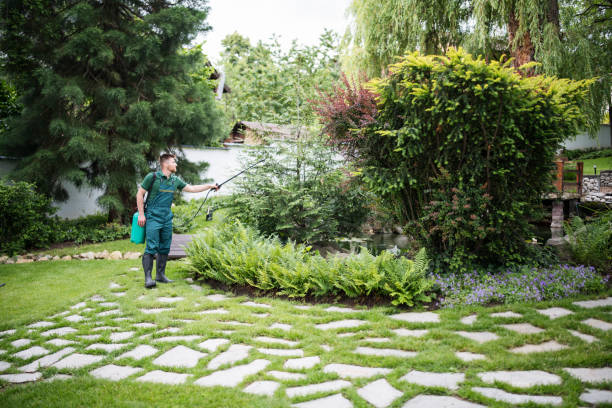 Best Tree Risk Assessment  in Gurnee, IL