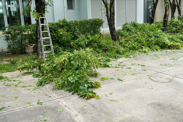 Best Lawn Mowing  in Gurnee, IL