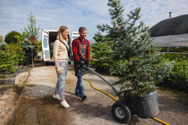 Lawn Watering Services in Gurnee, IL